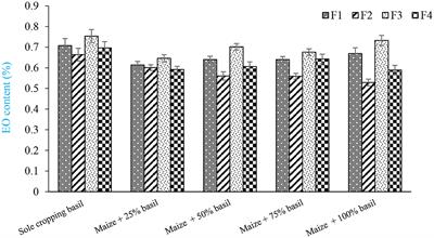 Intercropping System and N2 Fixing Bacteria Can Increase Land Use Efficiency and Improve the Essential Oil Quantity and Quality of Sweet Basil (Ocimum basilicum L.)